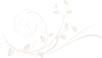 branch-bottom-right