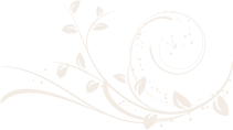 branch-top-left